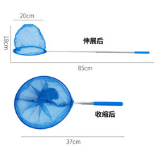 儿童小抄网彩色儿童小网兜昆虫网蝴蝶网兜捕虫网不锈钢伸缩小抄网