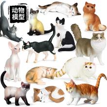 儿童仿真认知实心动物猫模型玩具套装猫咪黄猫短尾猫黑白小猫摆件