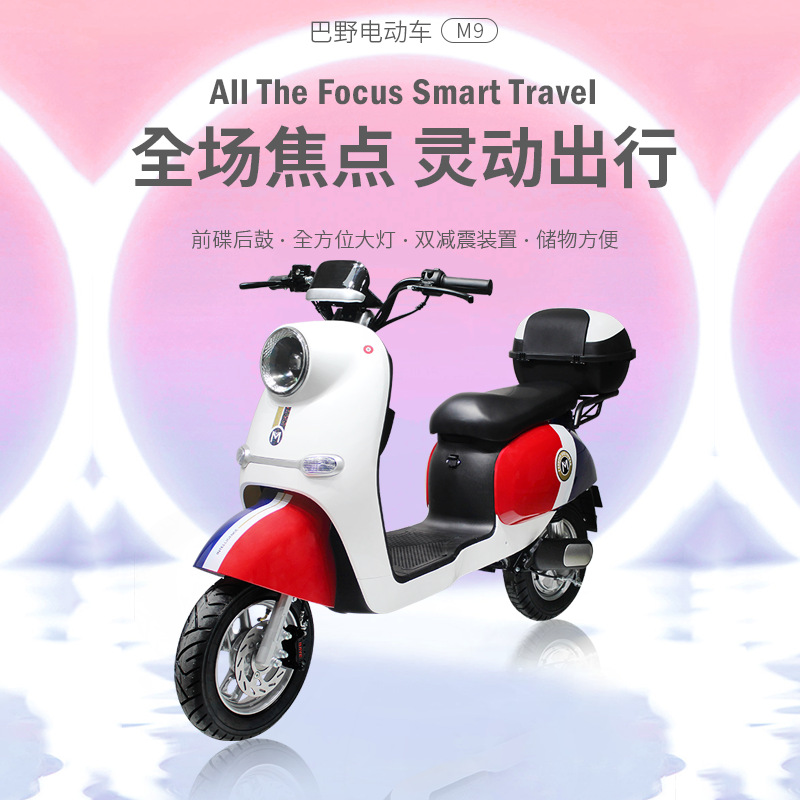 巴野新国标电动自行车48v15ah双人座青春版上牌锂电池代步电瓶车