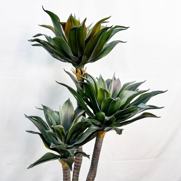 仿真龙舌兰盆栽热带植物室内绿植水池景观造景龙血树落地装饰摆件