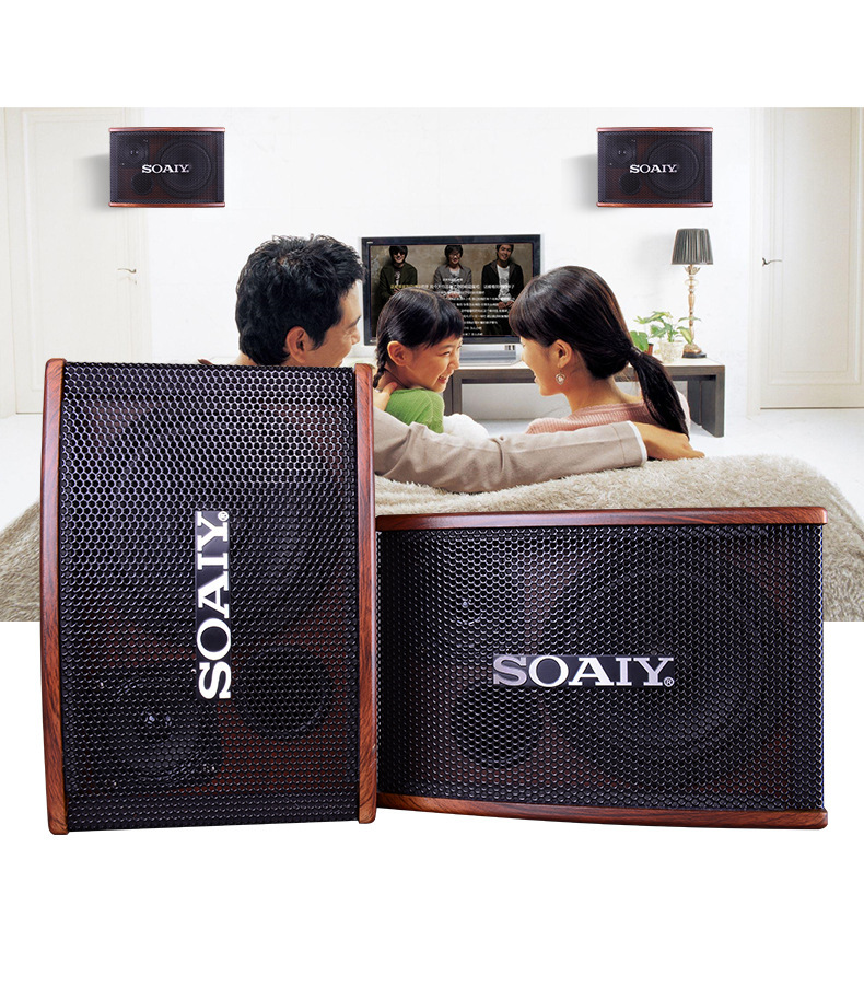 索爱ck-m7小型家庭ktv音响套装会议功放 卡拉ok家用唱歌卡包音箱