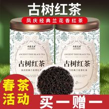 云南古树红茶2024新茶果蜜香浓香型滇红茶散装红茶罐装