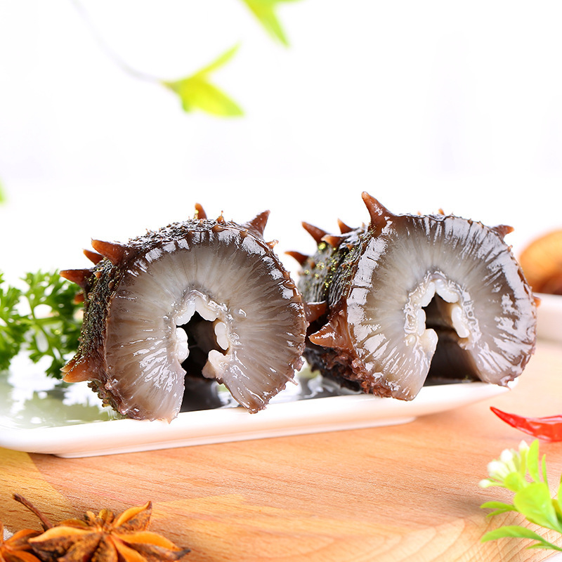 渔虾贝工厂直发代发大连即食精品海参鲜食活海参50克