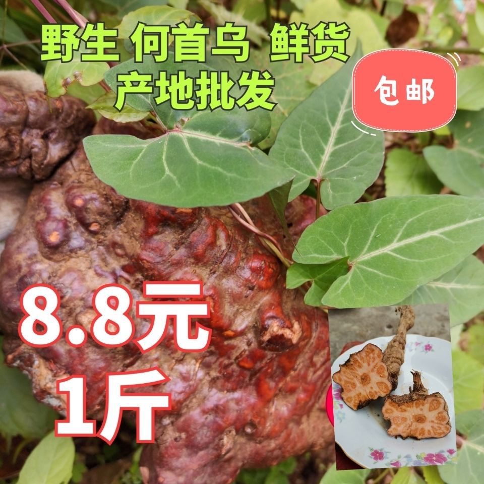 【正宗】野生千年生何首乌制何首乌中药材煲汤泡酒泡茶白发转黑发