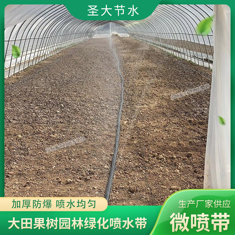 大田果樹園林綠化大棚微噴帶廠家山東圣大節水科技有限公司