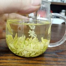 250克明前头采手工奶白茶皇金芽卷螺型黄金芽兰花型小芽头奶白茶