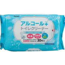 日本马桶圈清洁湿巾除菌湿纸巾纸洁厕纸巾洁厕湿巾便圈45枚