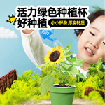 Ecoey儿童小盆栽花卉绿植好养活小学生伴手礼物种植室内盆景植物
