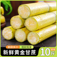 黄皮甘蔗新鲜水果10斤当季特产绿皮黄金黑皮果蔗手撕脆皮包邮