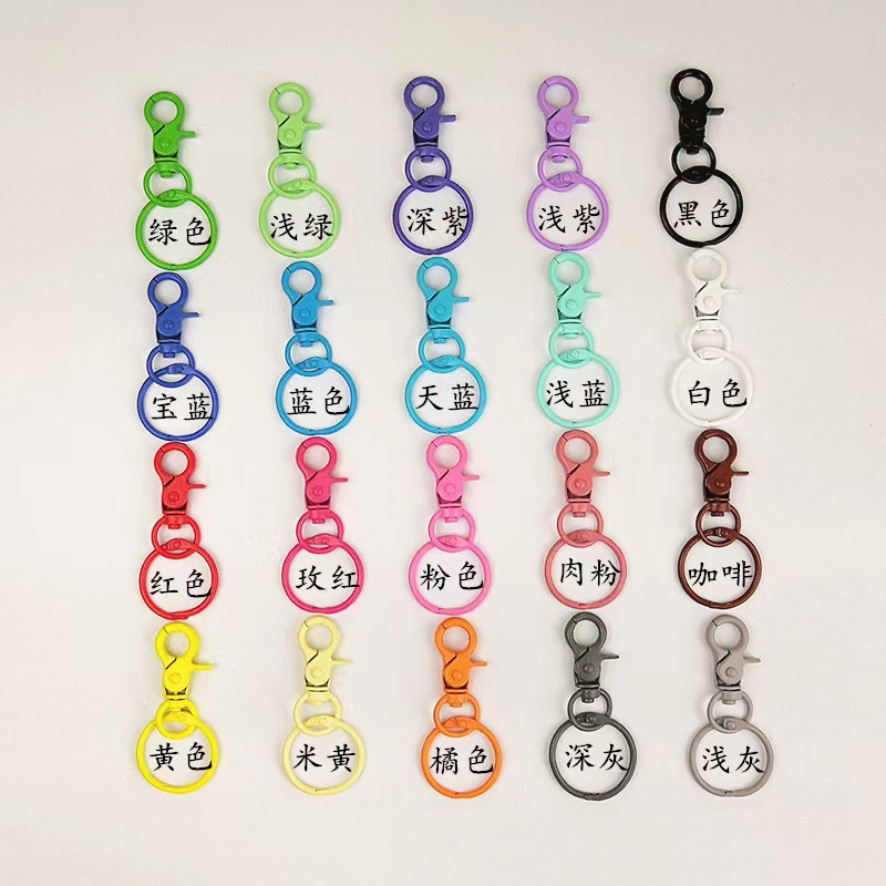 21 Color Paint Snap Hook plus Circlip Flat Ring Paint Keychain Spring Keychain Color Lobster Buckle