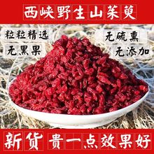 野生山茱萸 山萸肉干泡茶无核 材西峡芋肉枣皮新货