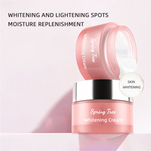英文版面部立即美白霜whitening chloasma 滋养清爽嫩肤祛斑修护