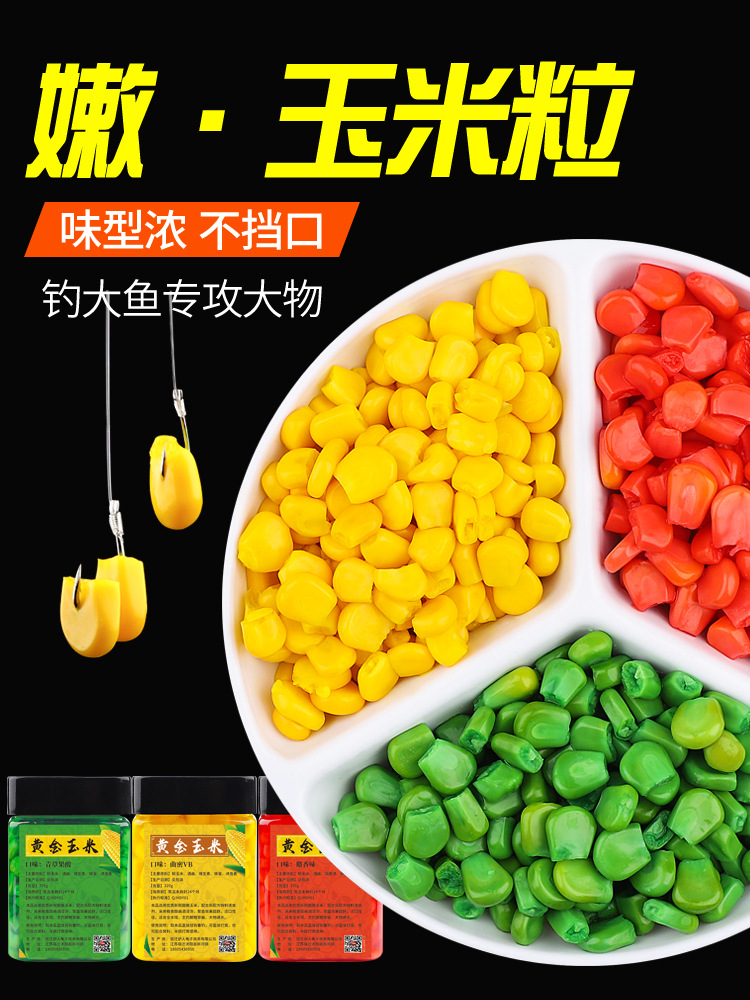 嫩玉米粒鱼饵