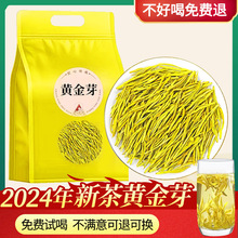 黄金芽茶叶2024新茶正宗安吉高山明前特级春茶袋装散装茶叶共200g