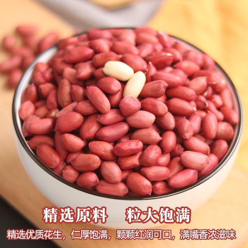 新货东北特产花生米生新1000g大罐装红皮花生四粒红花生米不带壳