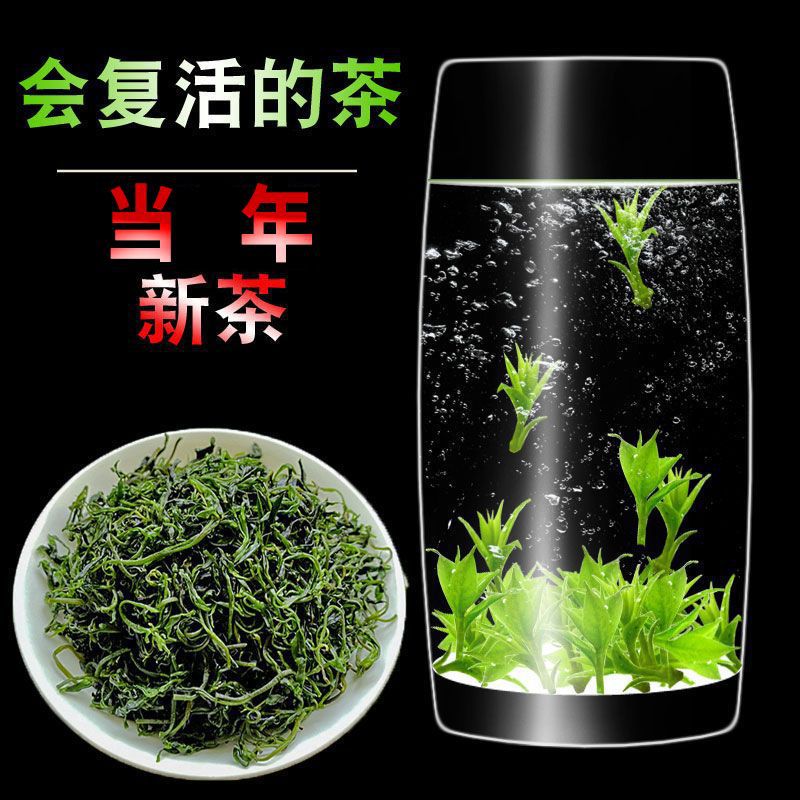 毛冬青茶云南毛冬青正品嫩芽茶叶正宗青山绿水厂家毛冬青茶叶