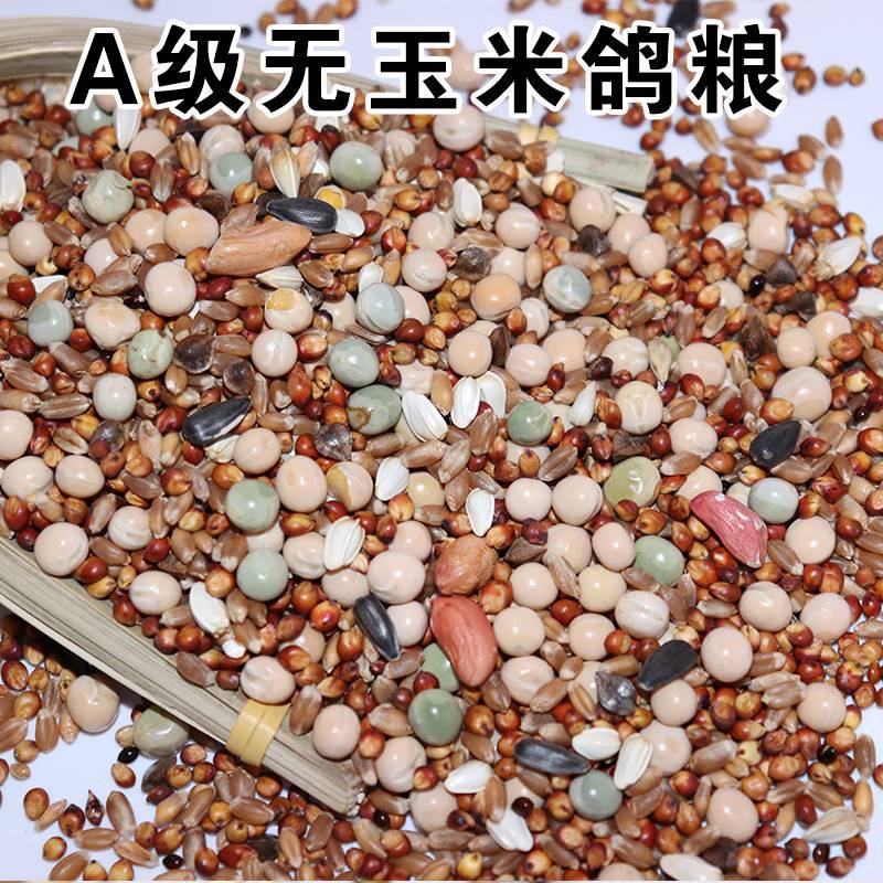 鸽粮大全幼鸽鸽粮营养鸽粮50斤20斤10斤信鸽鸽子食粮饲料通用跨境