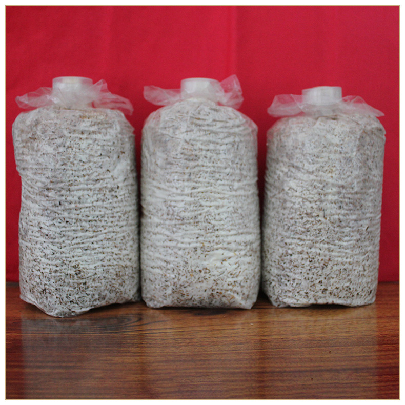 产地供应富菌花菇菌棒 菌包菌种 食用花菇菌类 货源充足 量大从优