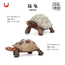 儿童认知仿真野生龟 动物模型套装 陆龟 乌龟 塑料仿真玩具摆件