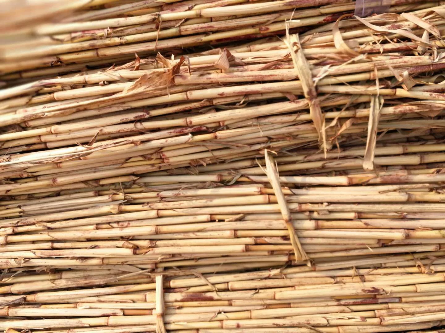 一捆高粱秆秫秸杆去皮高粱秫秸手工艺品材料鱼漂浮漂制作材料精品