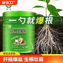 植物通用生根粉树木壮苗生根剂扦插移栽多肉营养液快速生根液跨境