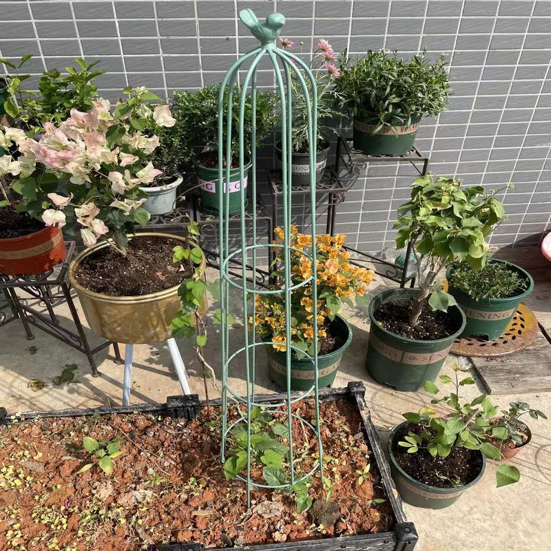 爬藤架 月季铁线莲攀爬架 婚庆婚礼道具庭院绿植花架户外植物架子