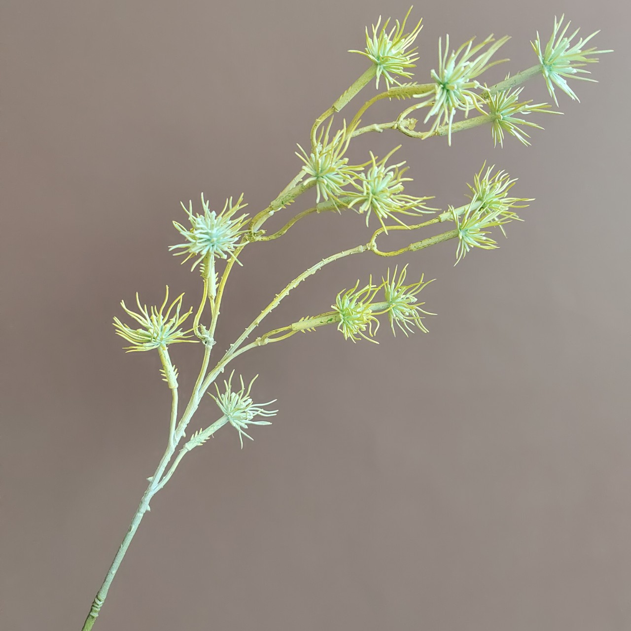 仿真单支刺芹蒲公英松针 家居样板间婚庆手捧花胸花花环配材-阿里巴巴