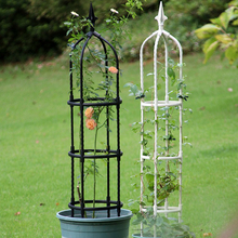 种花王大爷daim玫瑰支架花园庭院月季铁线莲爬藤植物支架