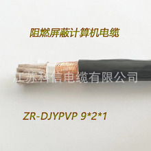 ZR-DJYPVP9*2*1.0阻燃屏蔽计算机电缆