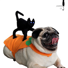 宠物变身装 小黑猫骑马装 狗狗用品服饰cospaly万圣节猫咪衣服