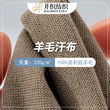 220克高档打底面料亲肤100%美利奴羊毛汗布针织布16支t恤现货批发
