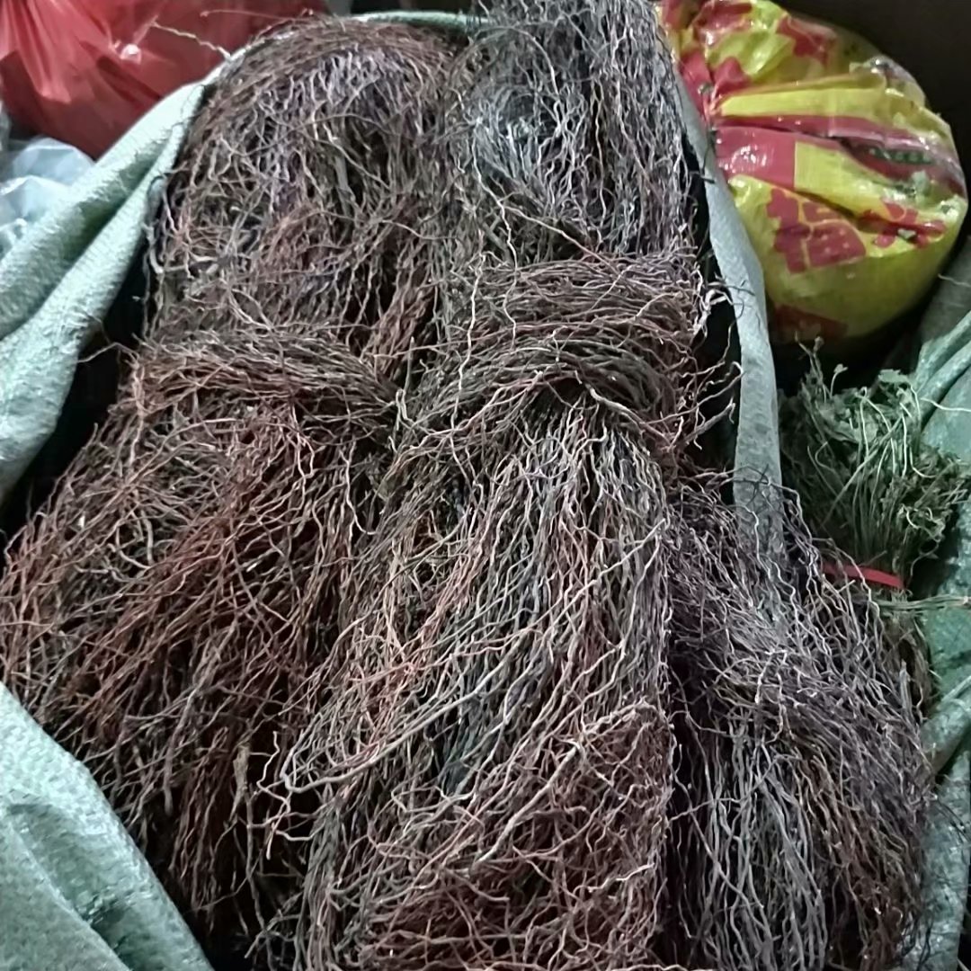 中药材榕树须 半天吊 每件1000克
