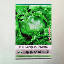 生菜种子四季结球生菜紫叶生菜意大利生菜奶油生菜大速生玻璃生菜