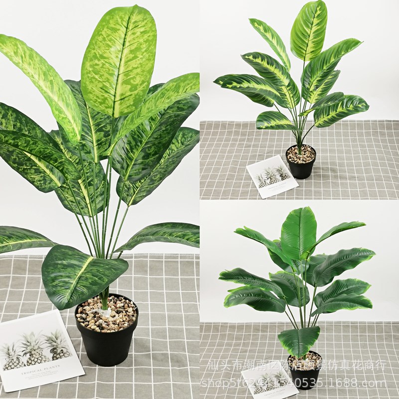 新品仿真植物过胶手感叶大12头芭蕉万年青树盆栽家居园林绿化装饰
