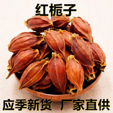 应季新货 新鲜红栀子 花果茶500克/1斤散装 厂家直供 食用休闲茶