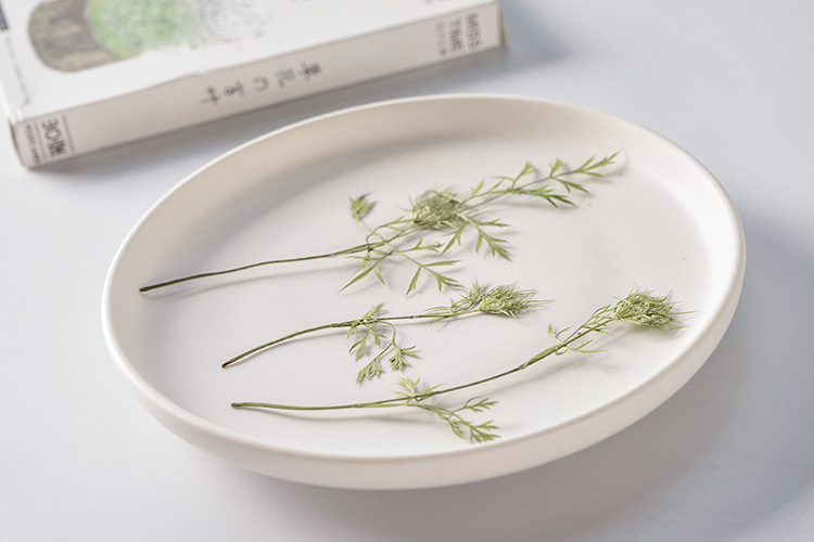 阿米芹 压花干花押花带枝真花活动书签材料包滴胶手机壳植物标本