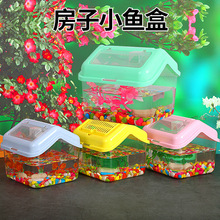 宠物盒子塑料龟缸金鱼缸小鱼盒乌龟盒迷你手提小型鱼缸透明水族箱
