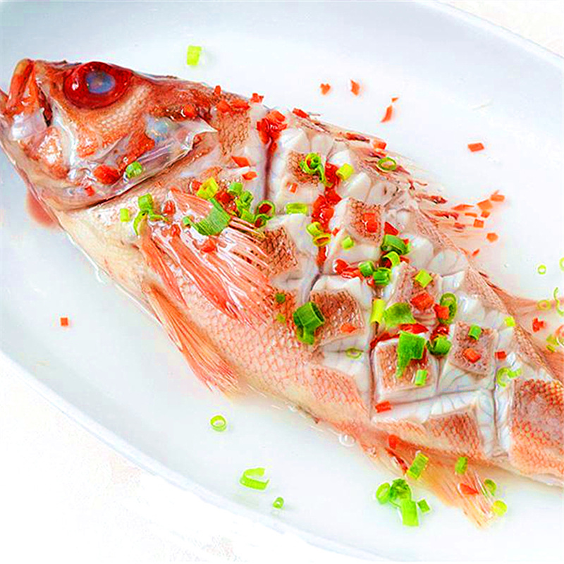 【新西兰红宝石鱼】10kg/件 活冻红鲈鱼红石斑鱼海鲜水产酒楼