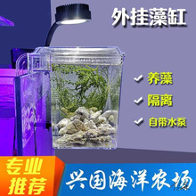 海缸外置藻盒挂藻缸电动多功能水泵外挂式海水生物外置箱