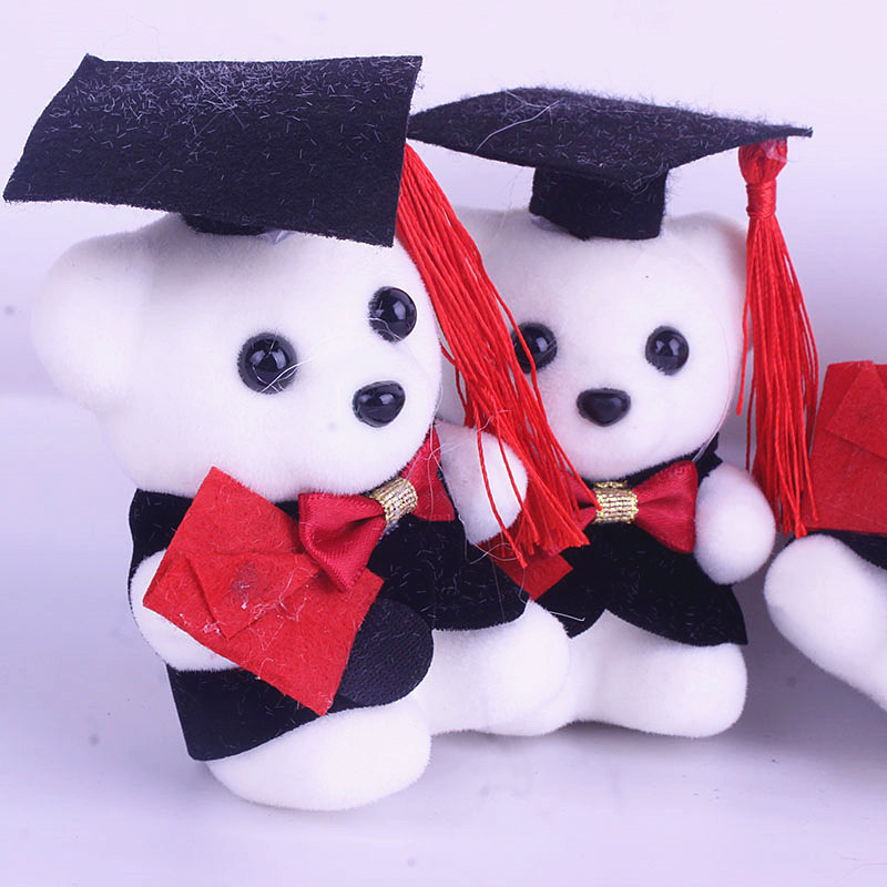 Student Gift Wholesale Graduation Bear Men's and Women's Bear Doctor Bear Doll Teacher's Day Gift Cartoon Doll Bouquet