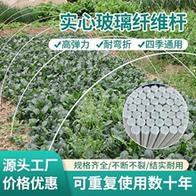 新型拱棚支架玻璃纤维农用小拱棚地膜蔬菜棚豆角玻璃钢农家用瓜果