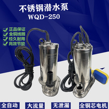 厂家直销 量大从优 格轮不锈钢家用潜水泵WQD-250微型污水排水泵