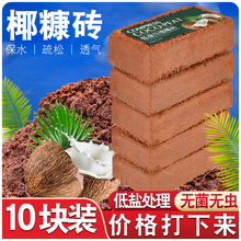 大块椰砖营养土阳台养花种菜脱盐椰糠壳粉花卉专用基质通用无虫卵