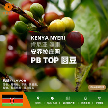 肯尼亚涅里安乔拉庄园PBTOP圆豆水洗处理咖啡生豆2023新产季包邮