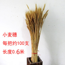 麦穗干花水稻穗高粱穗农作物装饰黄金大麦五谷丰登插花道具花束