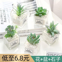 多肉盆干花仿真仙人掌假花绿植物装饰客厅办公室桌面花卉小盆栽热