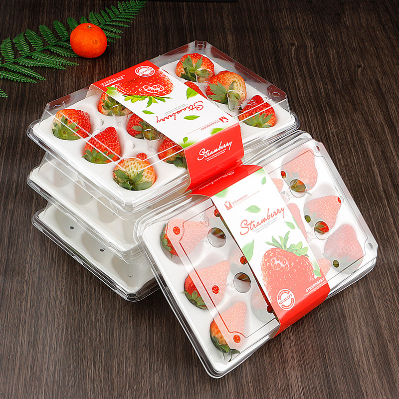 草莓包装盒草莓内一次性水果盒草莓纸托12粒精品透明塑料打包盒子