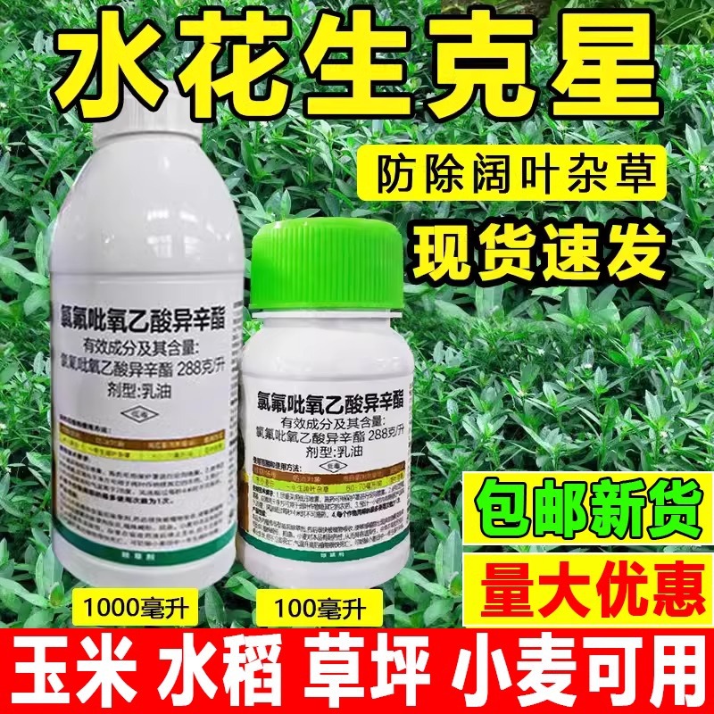 帆邦氯氟吡氧乙酸异辛酯水花生克星烂根剂强力除草专用药一扫光