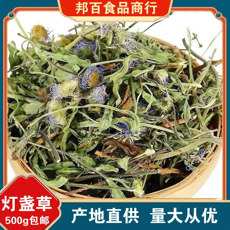 灯盏花中药材云南灯盏细辛全颗灯盏草正品灯展花登盏花灯展花