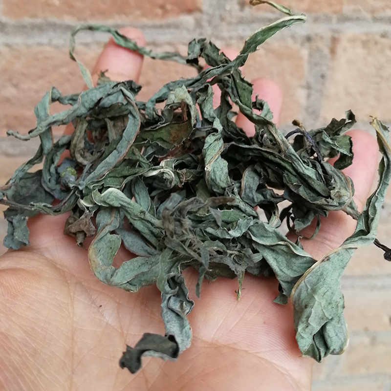 晒干农家曲曲芽整颗带根曲曲菜带叶苦苦菜药用苣买菜500g顺丰包邮